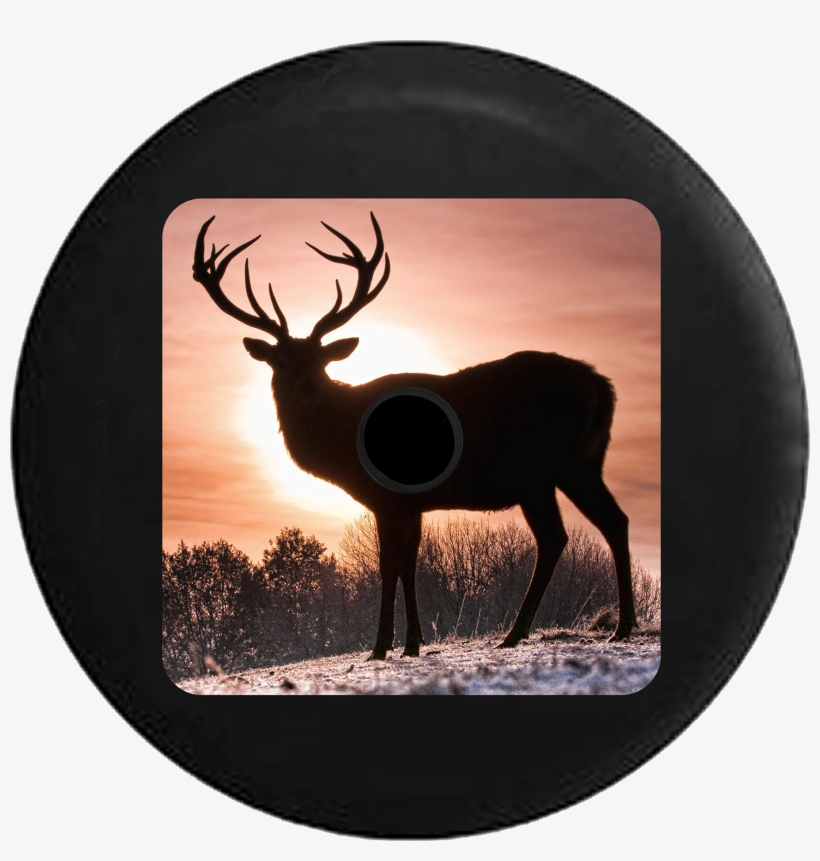 Jeep Wrangler Jl Backup Camera White Tail Deer Hunting - Deer Winter Scene - Light Up Deer Picture - Led Wrapped, transparent png #410580