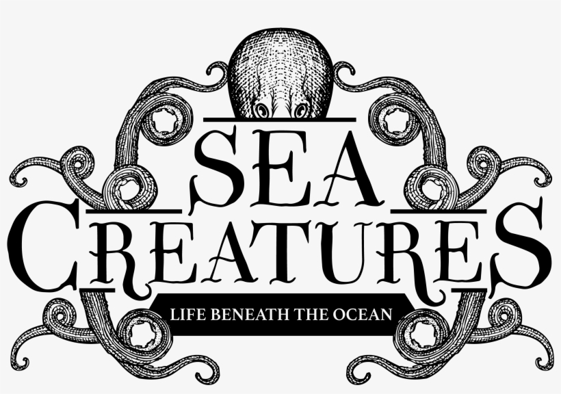 Life Beneath The Ocean - Sea, transparent png #411032