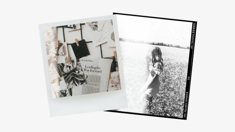 If Anyone Has Ever Used Unfold The App That Allows - Photograph, transparent png #412625