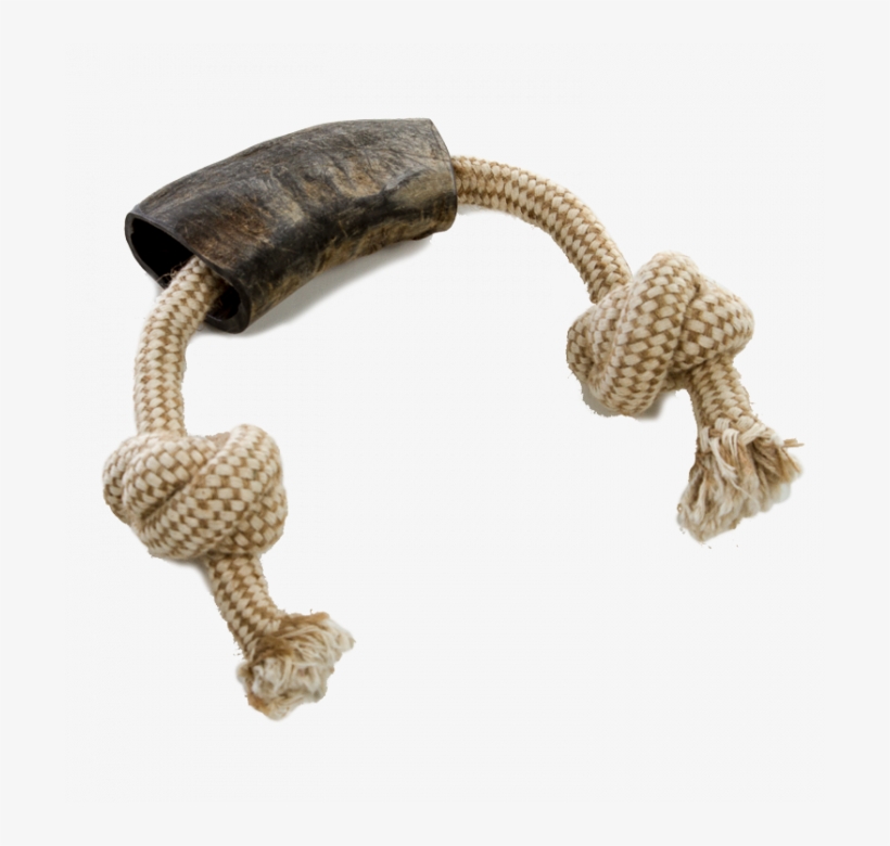 Bullhorn, Inc., transparent png #413370