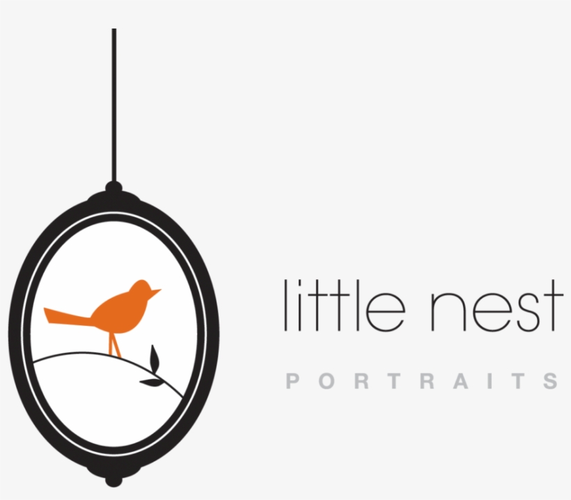 Free Play Date At Little Nest Portraits @ Little Nest - Little Nest Portraits Montclair Nj, transparent png #414983