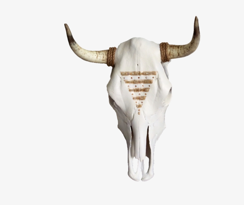 Skull, transparent png #415510