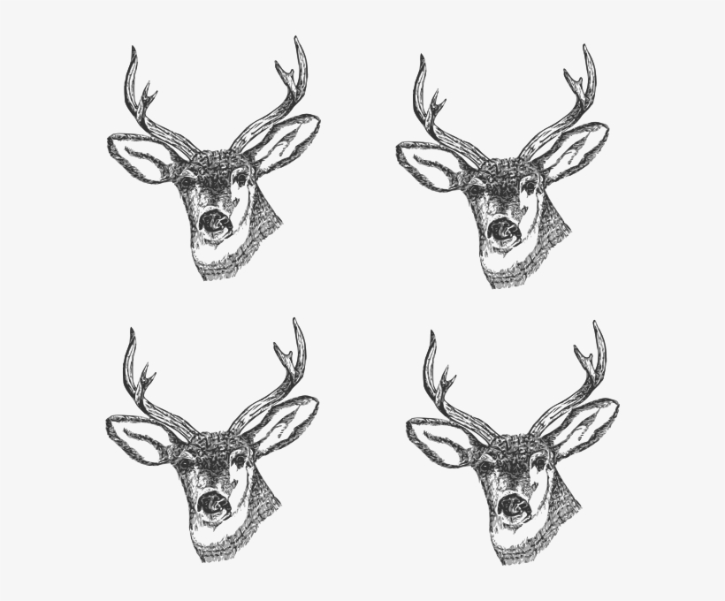 4 Deer Heads Clip Art - 8 Point Buck Black And White Drawing, transparent png #417897