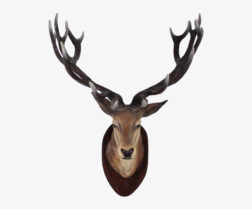 Deer Head Transparent Png - Deer Head Transparent, transparent png #418024