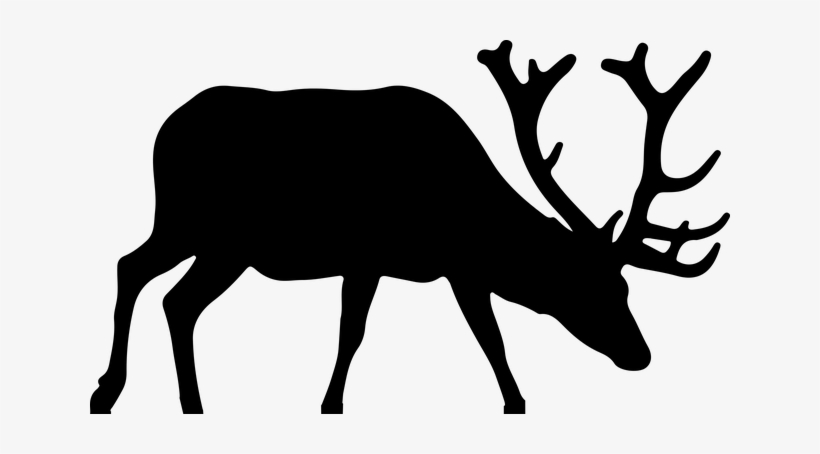 Animal Antlers Deer Elk Silhouette Deer De - Elk Clipart, transparent png #418281