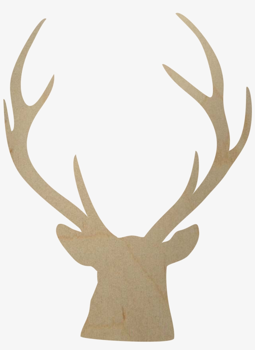 Buck Head Png Image Free - Deer Antlers And Bird, transparent png #418539