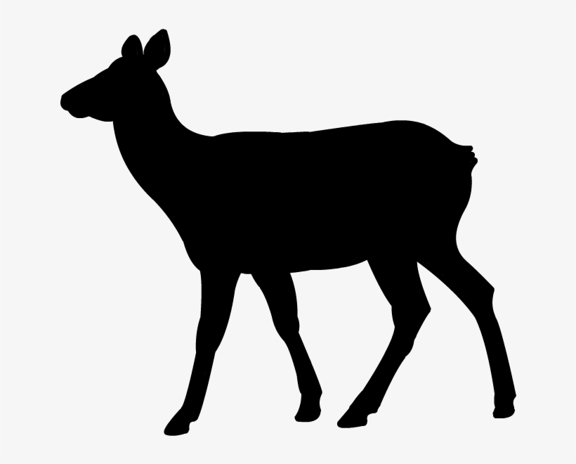 Elk Clipart Elk Head - Harry Potter Deer Silhouette, transparent png #418738