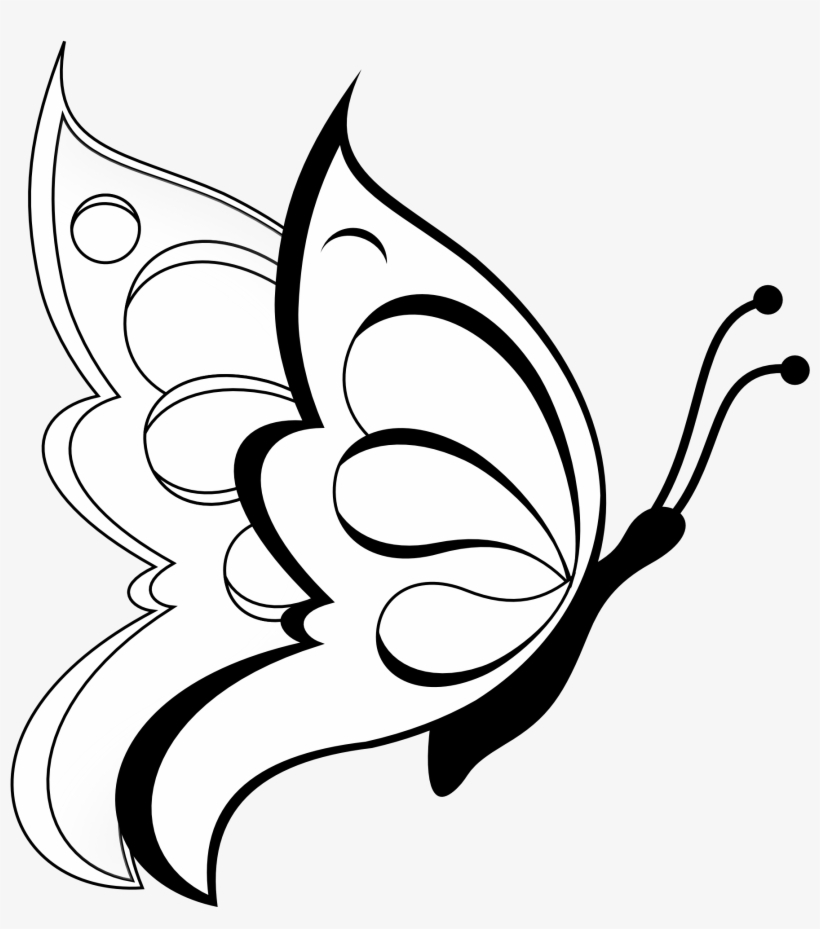 95 Simple Paintings Of Flowers Black And White - Butterfly Drawing, transparent png #418964