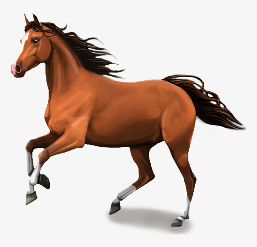 And While Doing This You Learn How To Care For Your - Horse Image In Png, transparent png #418968