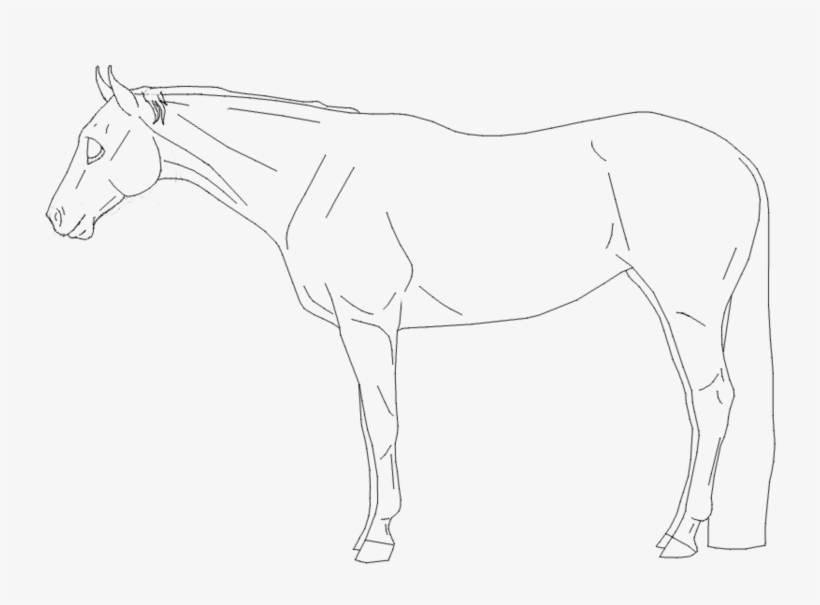 Quarter Horse Lineart - Sketch, transparent png #419097