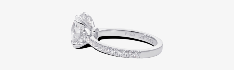 Ring Mademoiselle Round Diamond Solitaire Cathedral - Pre-engagement Ring, transparent png #419429