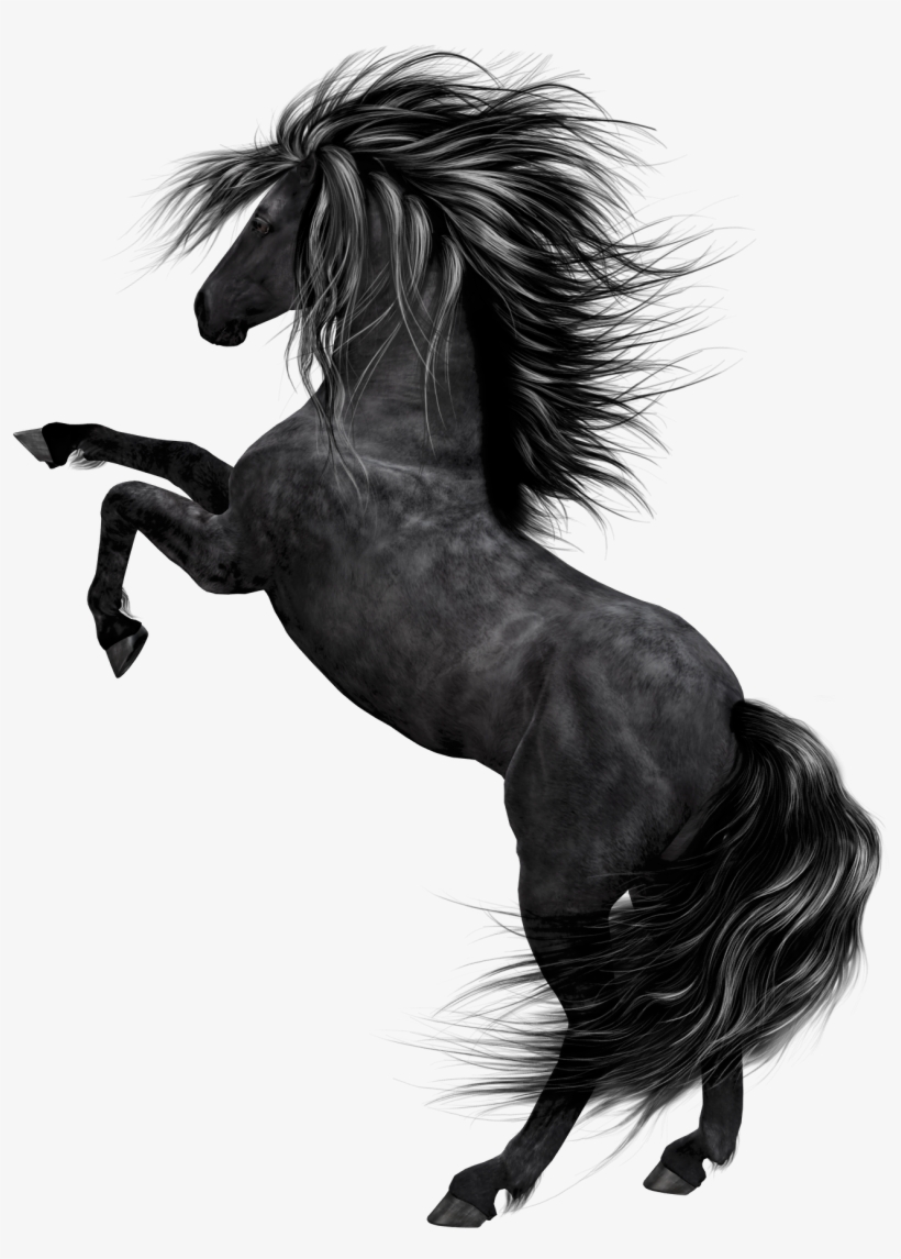 Stallion Clipart Black Horse - Black Horse Png Hd, transparent png #419804