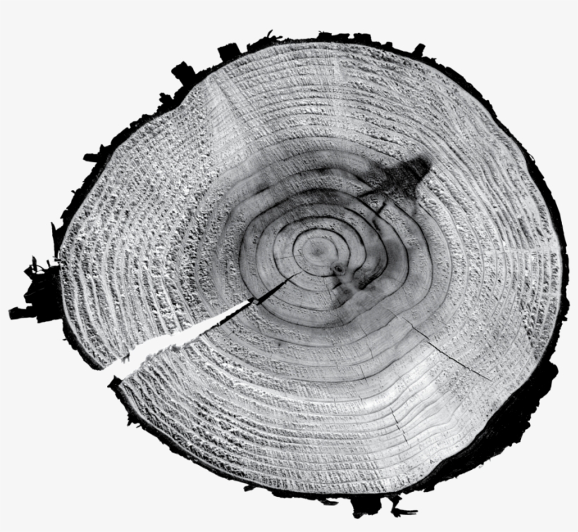 Circle, transparent png #4100106