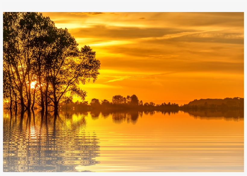 Vacation, Sunset, Sun, Holiday, Nature, Tree - Florida-sonnenuntergang Rundes Keramik Ornament, transparent png #4100165