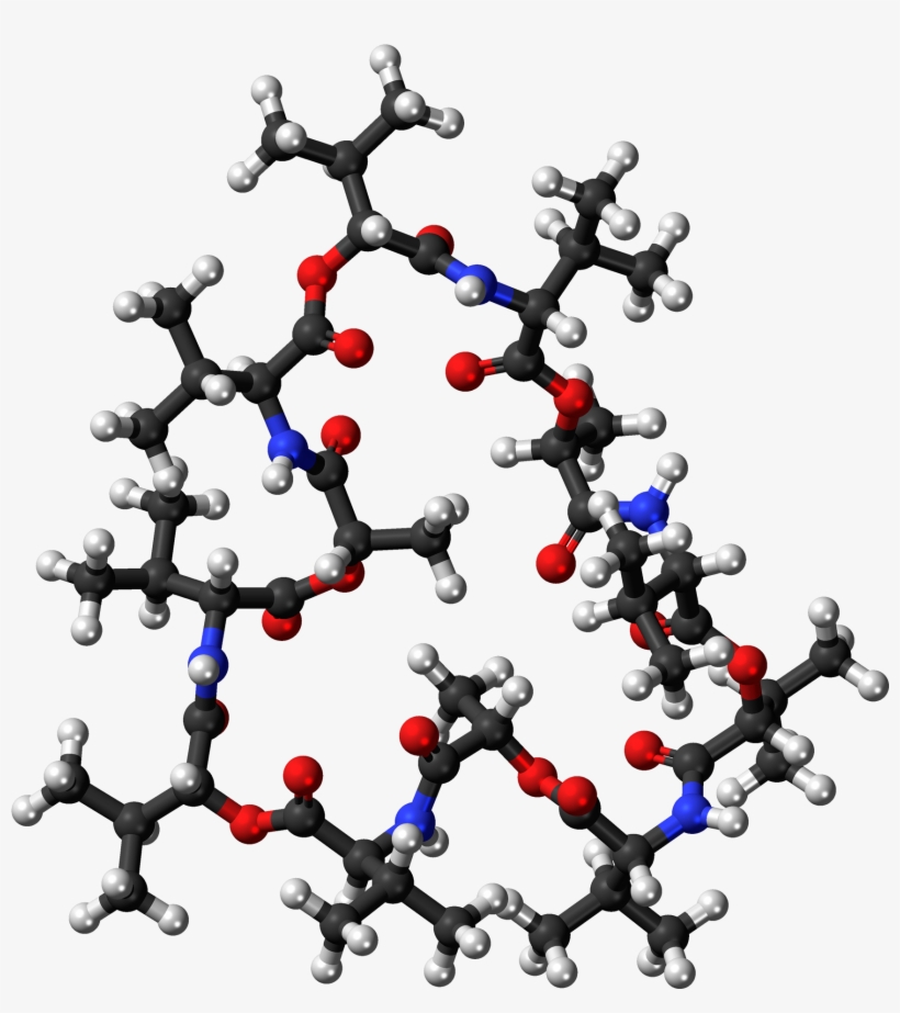 Valinomycin 3d Ball - Valinomycin 3d Structure, transparent png #4100280