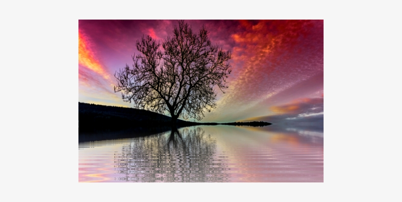 Sun,evening - Png Transparan Cewek Bugil, transparent png #4100537