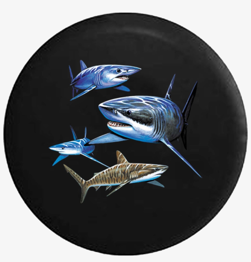 Sharks Circling In Ocean Sun Reflection Jeep Camper - Steel, transparent png #4100590