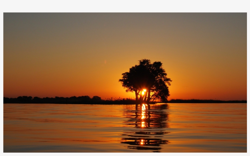 Score 50% - Author's Planner: Serenity [book], transparent png #4100956