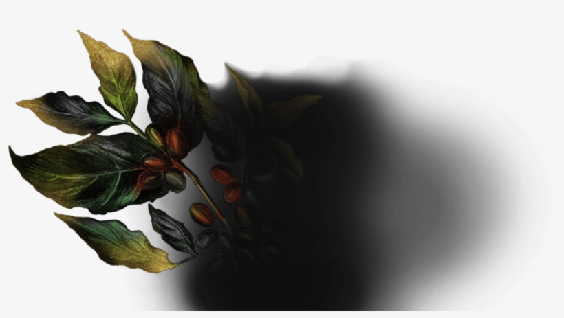 The Spirit Of Coffee - Macro Photography, transparent png #4100957