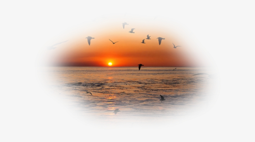 Abtous1 - Painting, transparent png #4101439