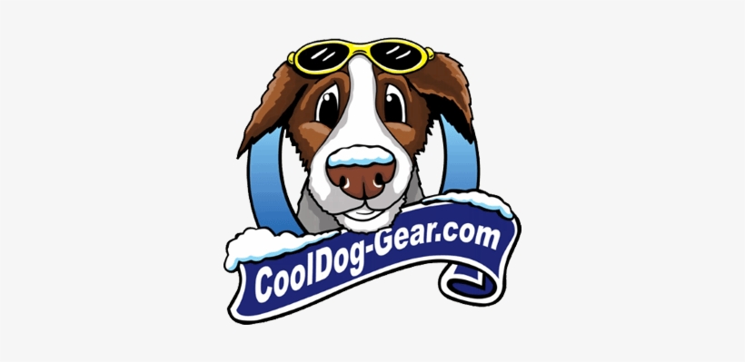Cooldog-gear - English Foxhound, transparent png #4101493