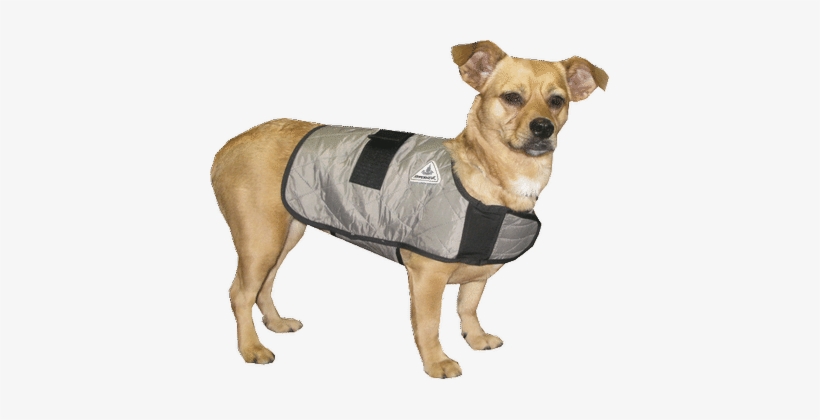 Hyperkewl™ Evaporative Cooling Dog Coat - Techniche 8529xlsilver Xl Hyperkewl Evaporative Cooling, transparent png #4101627