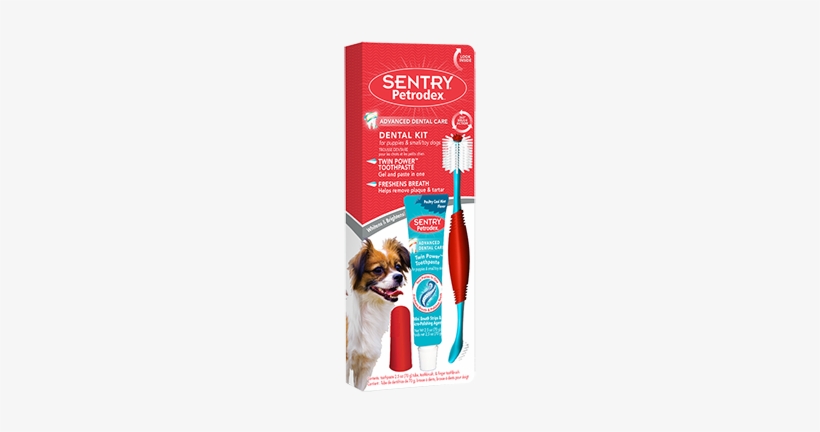 51078 Img P004905 1 Web Med - Petrodex Dental Kit For Dogs - Peanut Butter Flavor:, transparent png #4102379