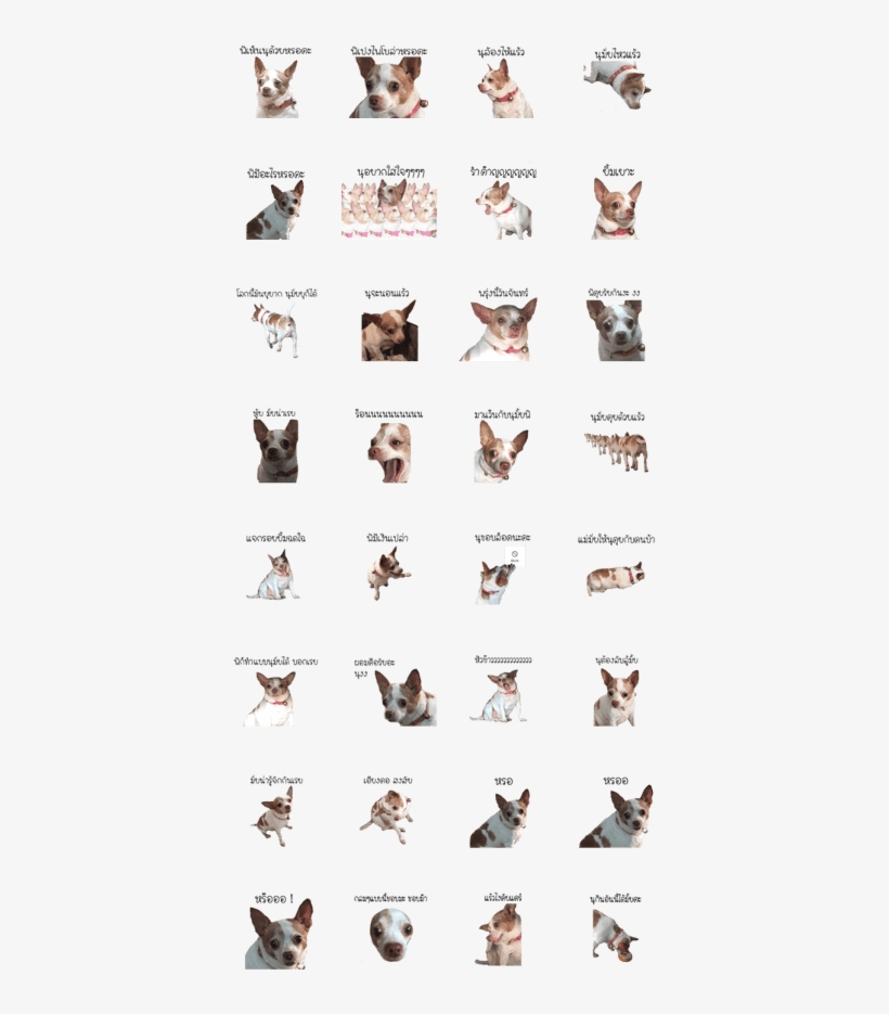 Lookchin Is A Cool Dog Ever - Siamese, transparent png #4102481