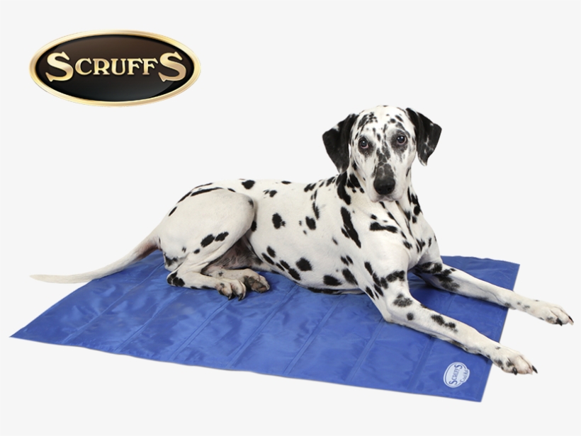 Cooling Mat - Scruffs Cool Mat, Large, Cyan/navy, transparent png #4102653