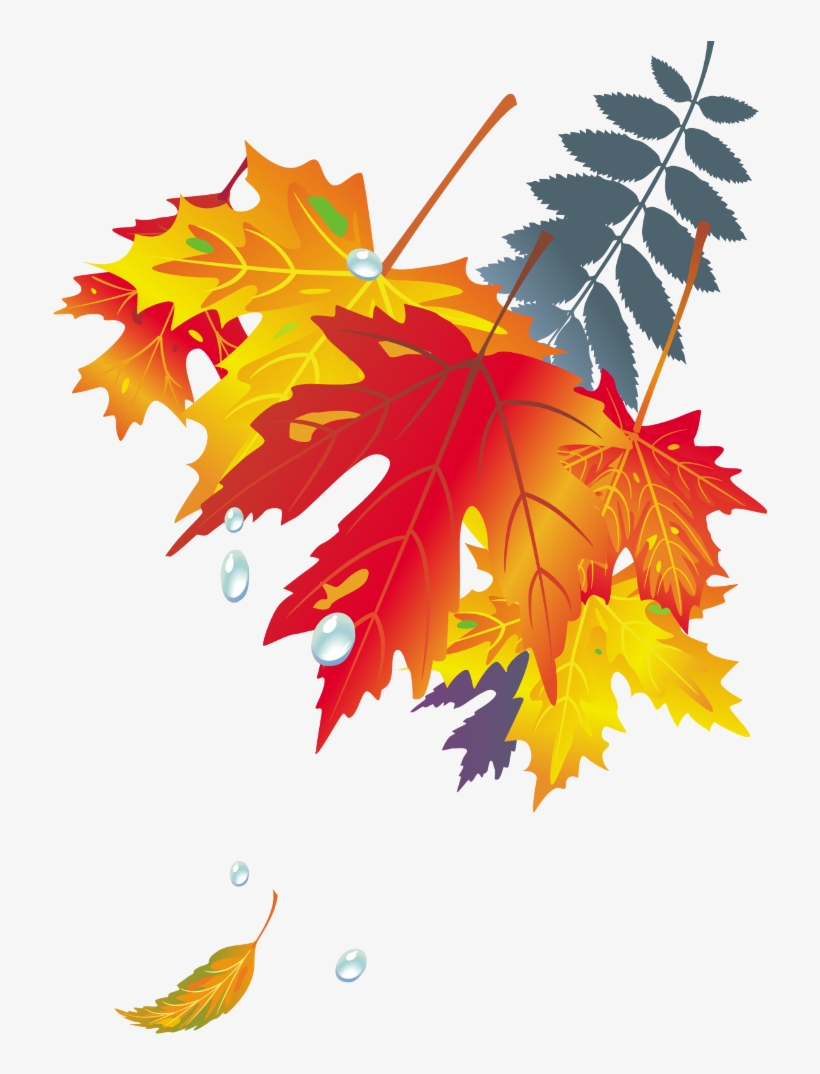 Dibujo De Hojas De Otoño, transparent png #4102767