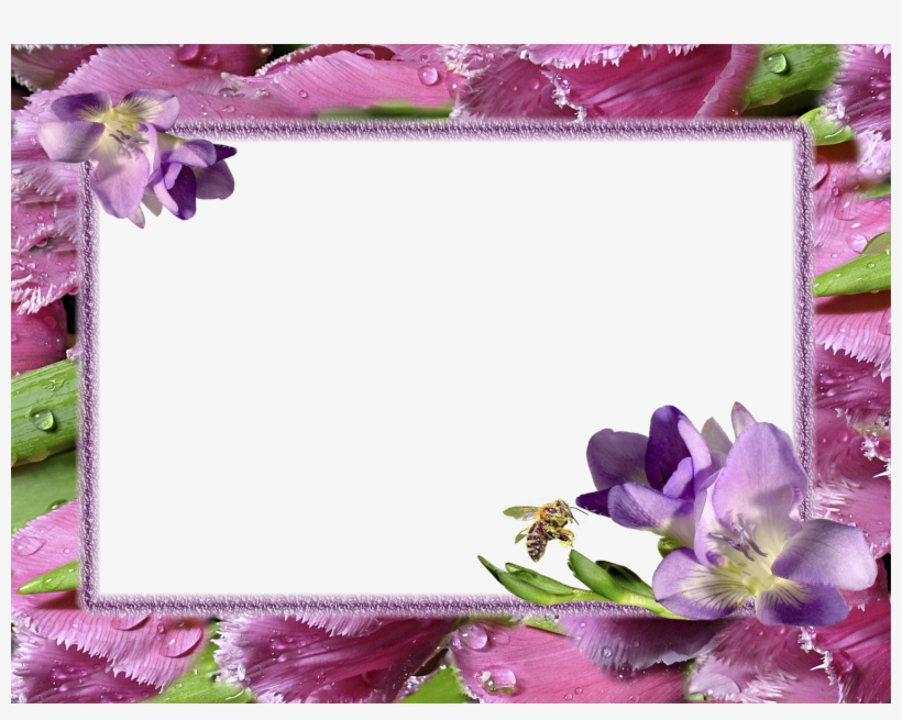 Png Transparent Images Free Download - Flower Photo Frames Hd, transparent png #4102854