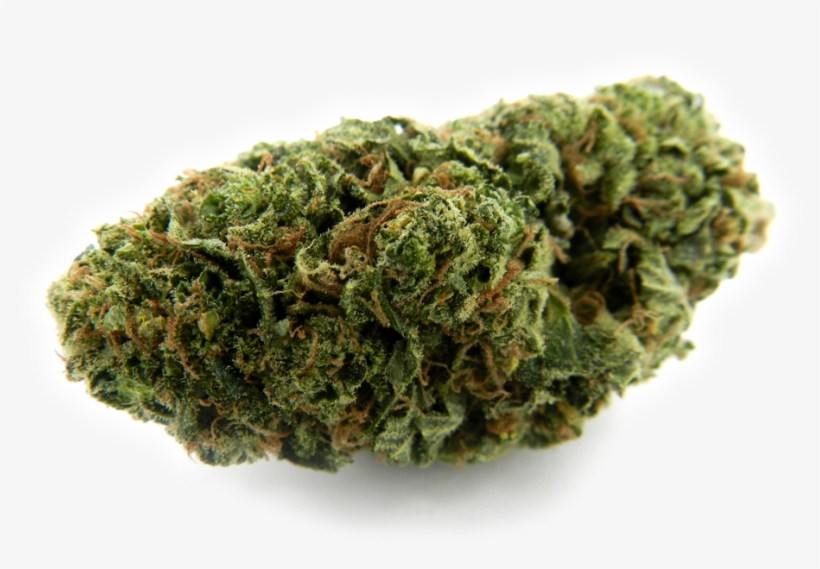 Blueberry Silver Tip - Weed Top Png, transparent png #4103133