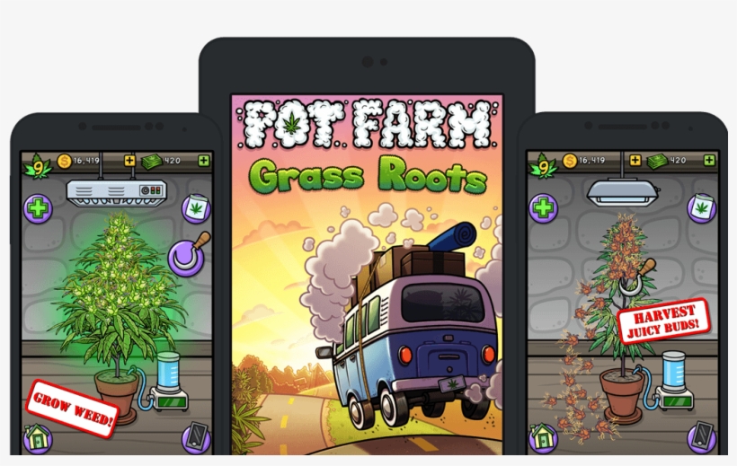 Pot Farm Grass Roots Splash Screen - Pot Farm Grass Roots, transparent png #4103137