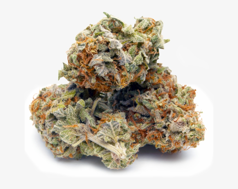 About Us - Bud, transparent png #4103312