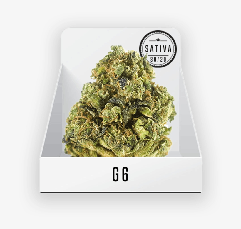 Medicine Man Denver - Medicine Man, transparent png #4103444