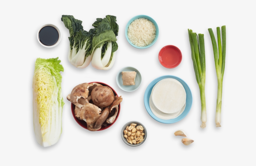 Mushroom & Cabbage Dumplings With Roasted Bok Choy - Mushroom Cabbage Dumplings, transparent png #4103782