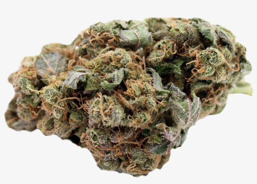 “the Legalization Of Marijuana Is Not A Dangerous Experiment - Executive Kush Lounge, transparent png #4103926