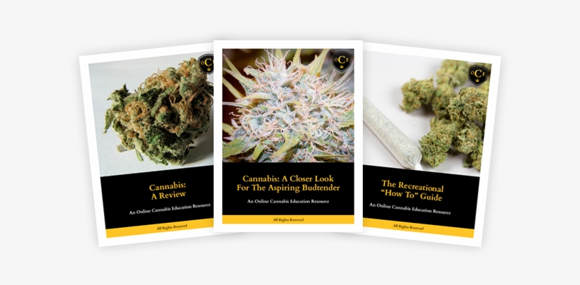 Course Materials - Cannabis Bud, transparent png #4103983