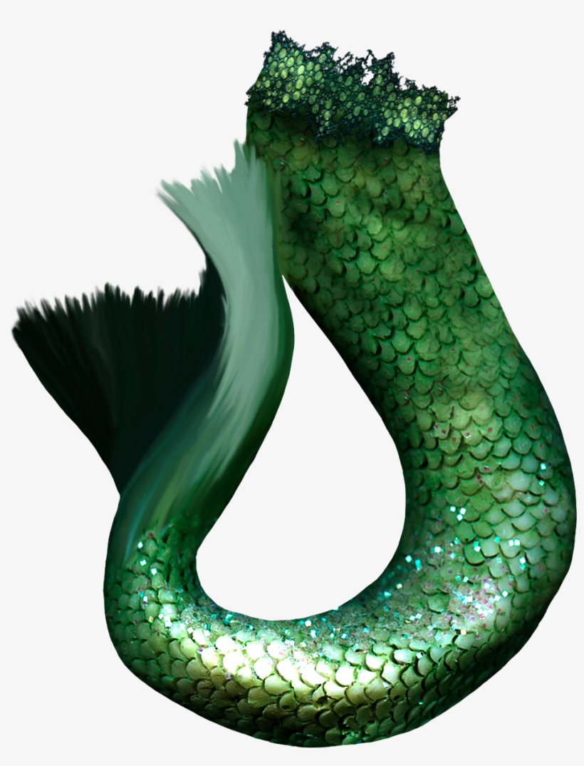 Fondo Transparente Png Photoshop, transparent png #4104190