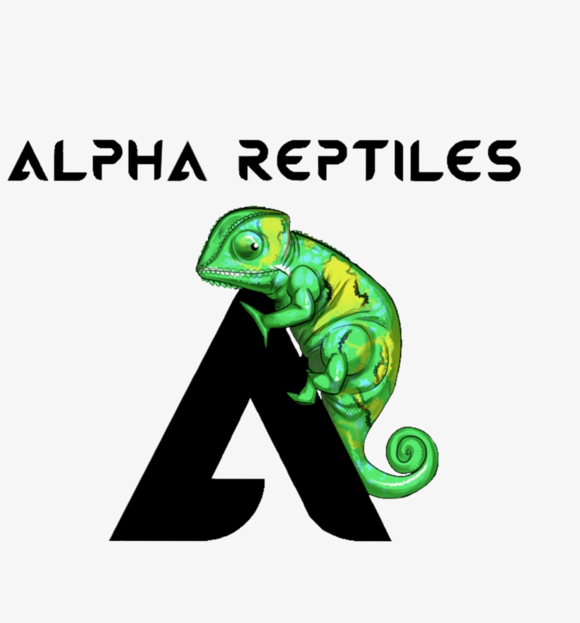 Alpha Reptiles, transparent png #4104233
