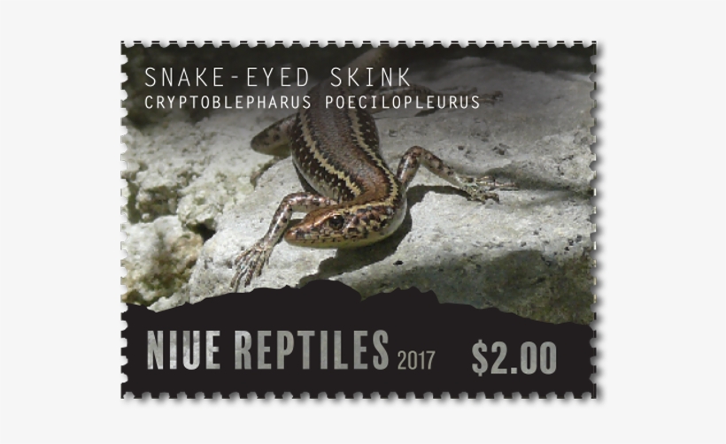 Single Stamp - Postage Stamp, transparent png #4104346