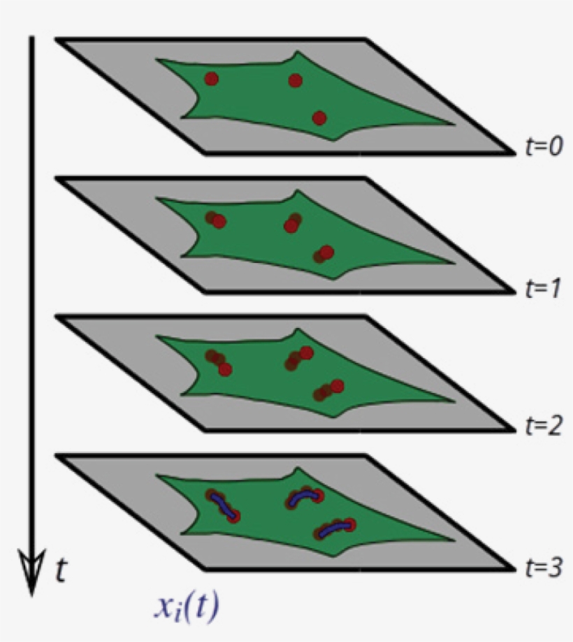 In This Simple Illustration Of Particle Tracking, T=0, - Christmas Tree, transparent png #4104392