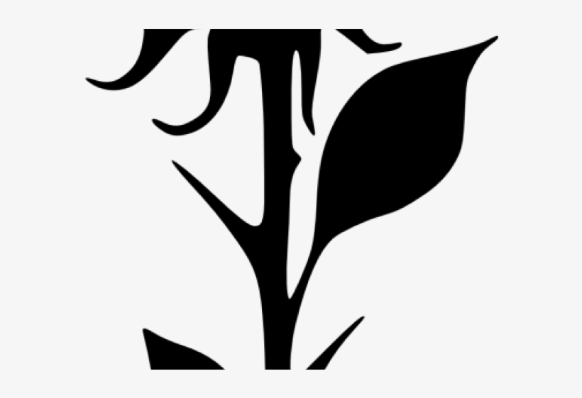 White Rose Clipart Png Format, transparent png #4104451