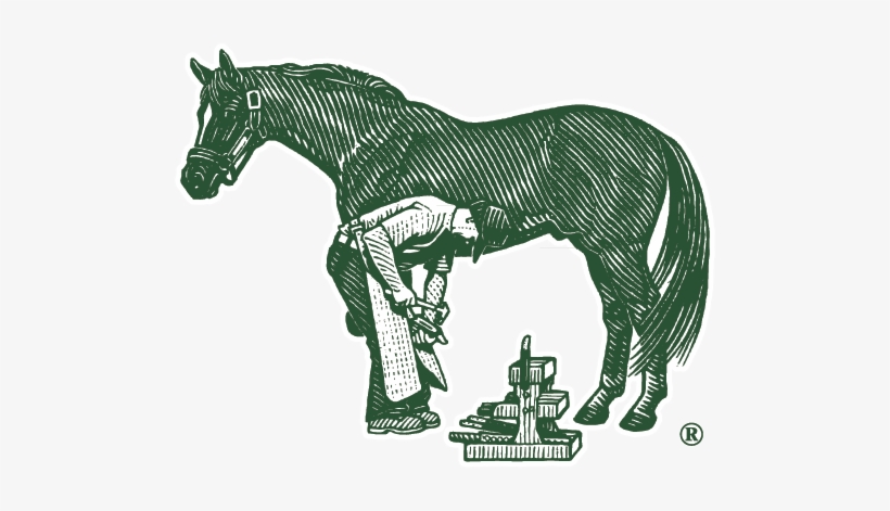 Life Data® Hoof Clay - Farriers Formula Refill: 5 Kg, transparent png #4104502