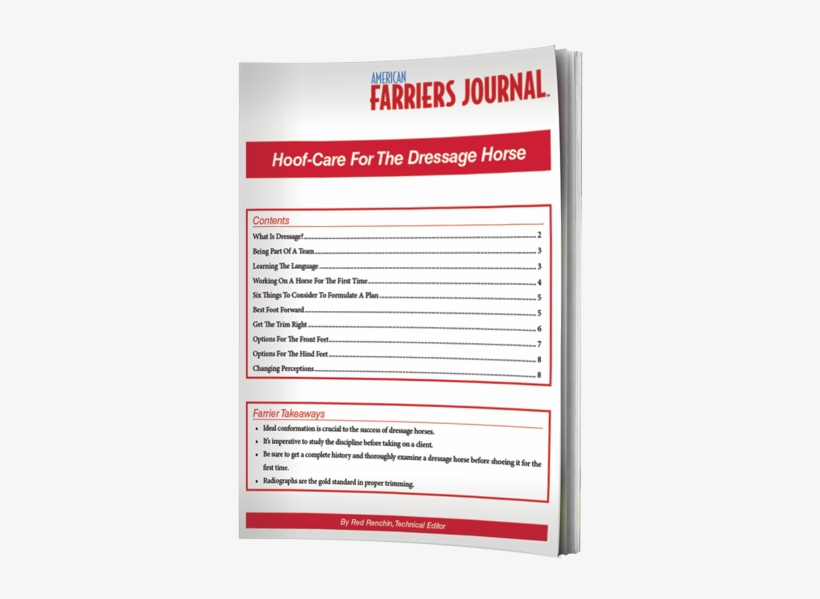 Dressage Hoof Care Presents Uncommon Challenges - White Line Disease, transparent png #4104923