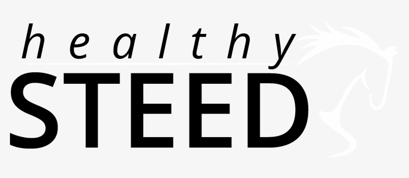 Putting Spirit Back Into Your Horse - Steelmont, transparent png #4105377