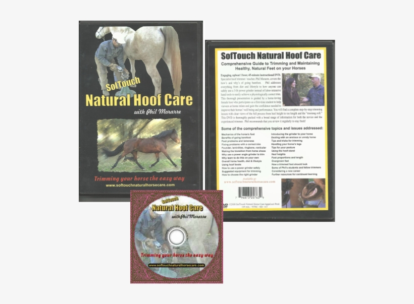 Phil Morarre Explains And Demonstrates How To Use The - Stallion, transparent png #4105464