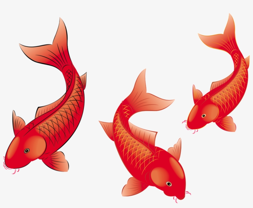 De Alta Definicion De Peces De Estética Png De Pintura - 红 鲤鱼, transparent png #4105546