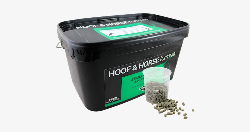 Diamond Hoof & Horse Formula - Horse, transparent png #4105990