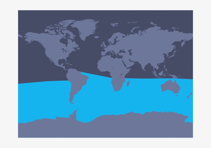 The Above Map Shows The Distribution Of Minke Whales - Antarctic Minke Whale Range, transparent png #4106176